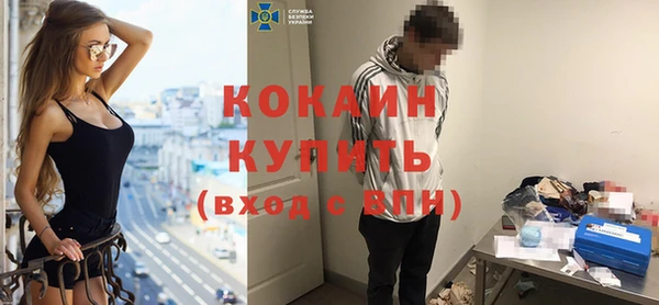 прущие грибы Каменка