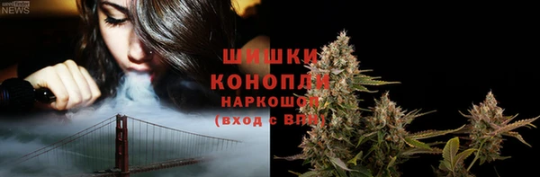 прущие грибы Каменка