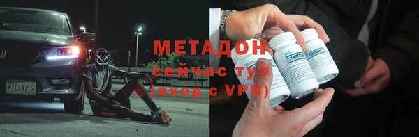 прущие грибы Каменка