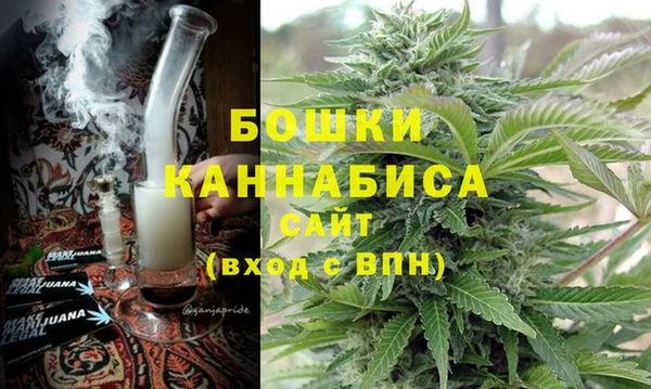 прущие грибы Каменка