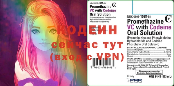 прущие грибы Каменка
