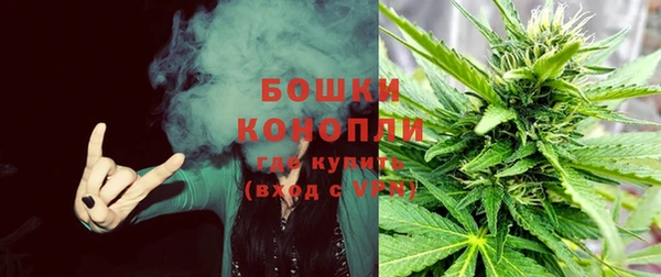 прущие грибы Каменка