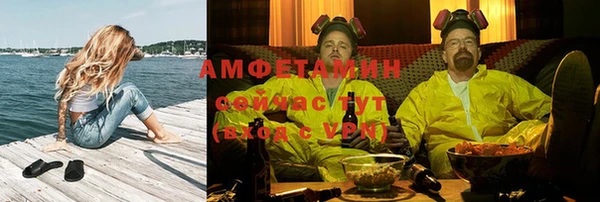 прущие грибы Каменка